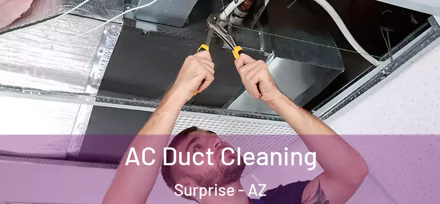  AC Duct Cleaning Surprise - AZ