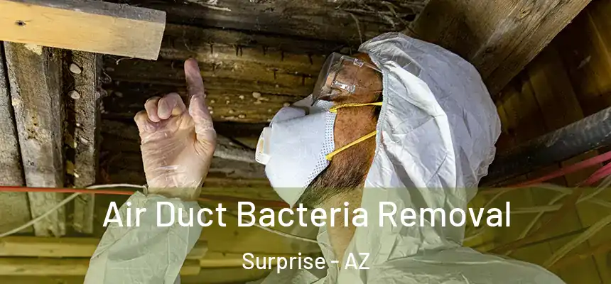  Air Duct Bacteria Removal Surprise - AZ