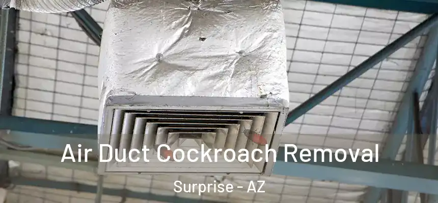 Air Duct Cockroach Removal Surprise - AZ