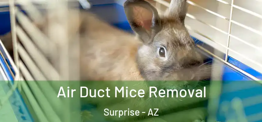 Air Duct Mice Removal Surprise - AZ