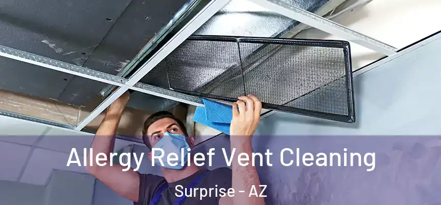 Allergy Relief Vent Cleaning Surprise - AZ