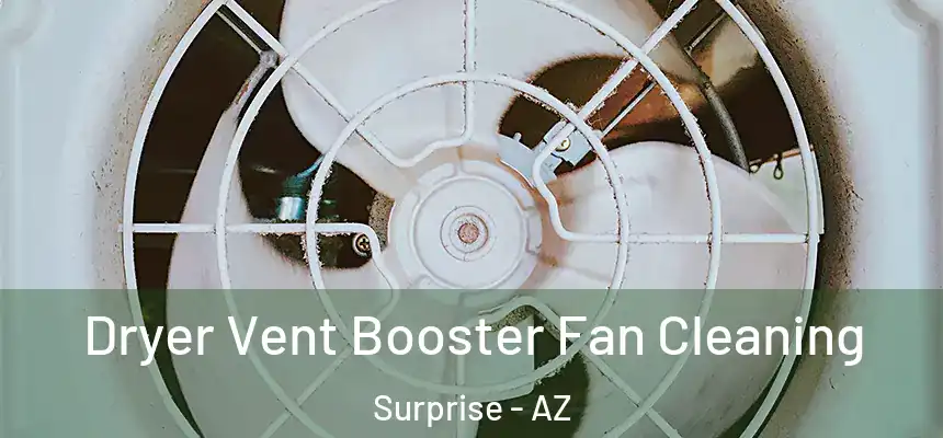 Dryer Vent Booster Fan Cleaning Surprise - AZ