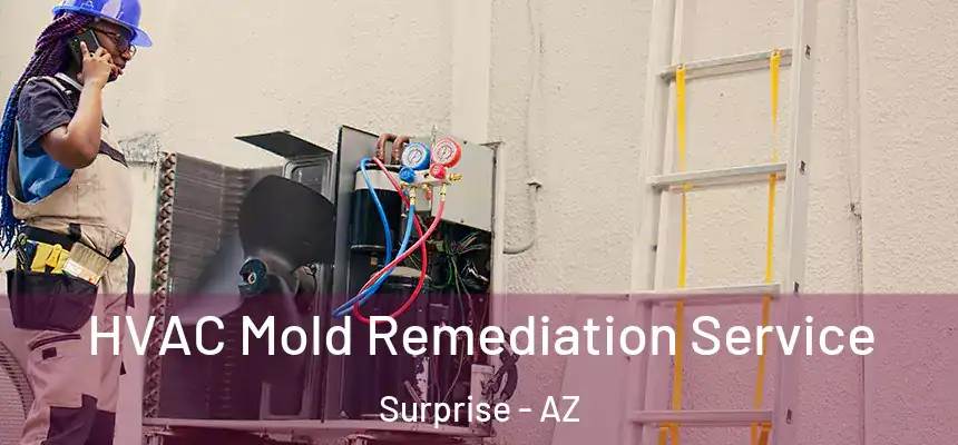 HVAC Mold Remediation Service Surprise - AZ