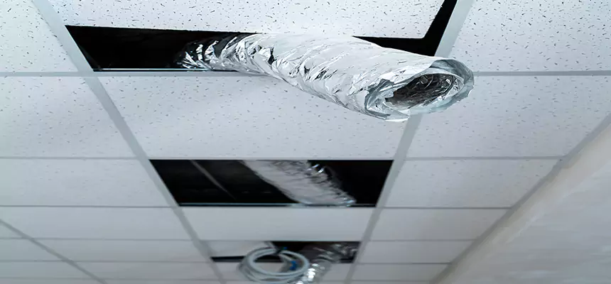 Affordable HVAC Sanitizing After Pest Removal in Surprise