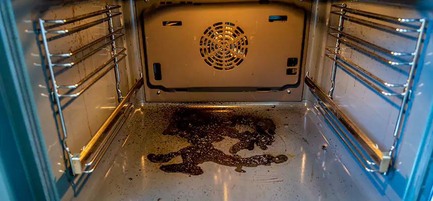 Our Dryer Vent Mold Cleaning Services in Surprise, AZ