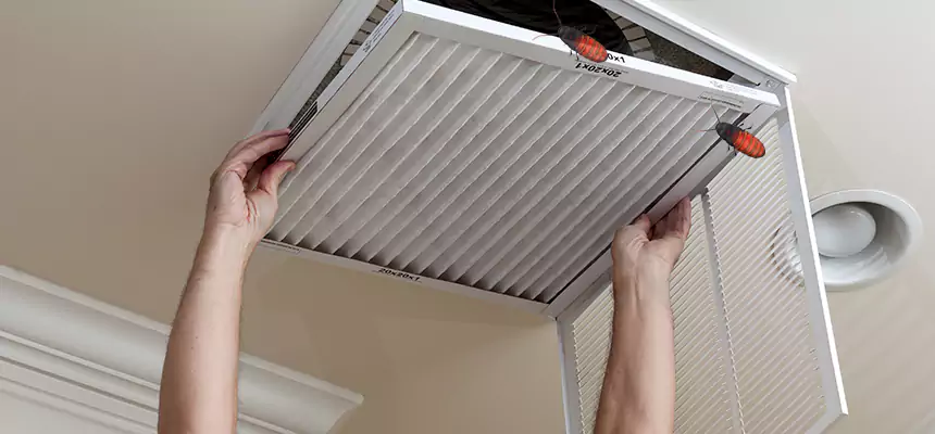 Our Insect Removal from Air Ducts Services in Surprise, AZ