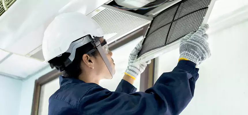 Our Mold & Mildew Removal from Air Ducts Services in Surprise, AZ