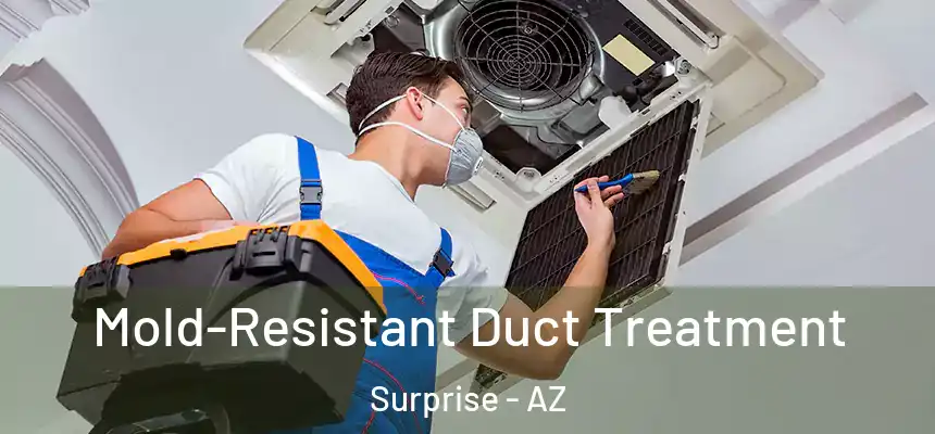 Mold-Resistant Duct Treatment Surprise - AZ