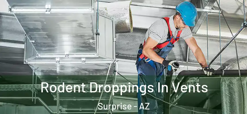 Rodent Droppings In Vents Surprise - AZ