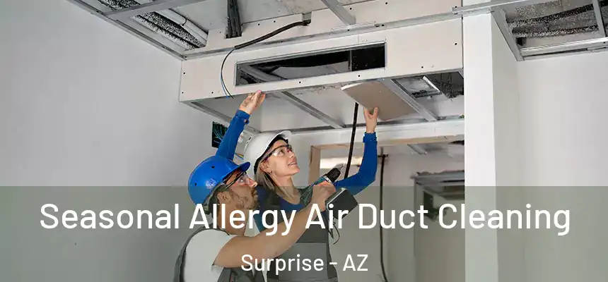 Seasonal Allergy Air Duct Cleaning Surprise - AZ