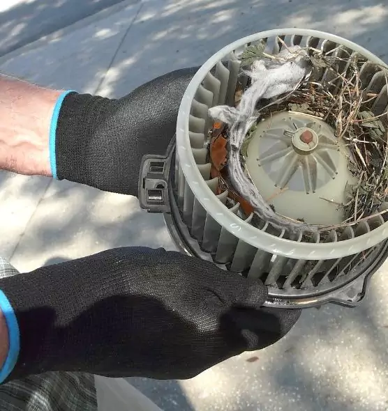 About Air Duct Mice Removal in Surprise, AZ