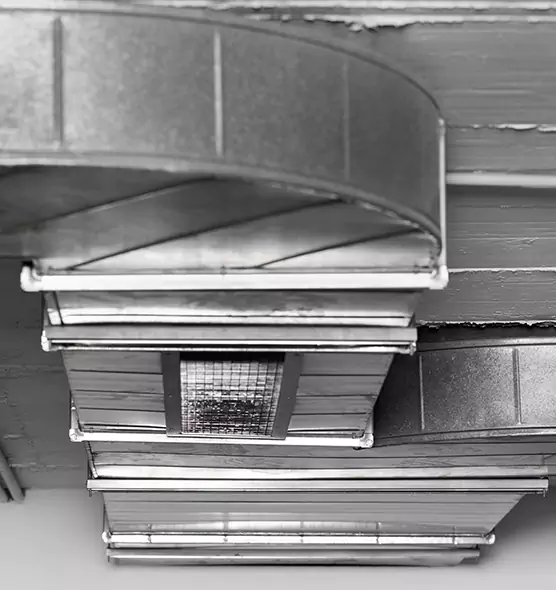 Professional Air Duct Pet Hair Removal in Surprise, AZ