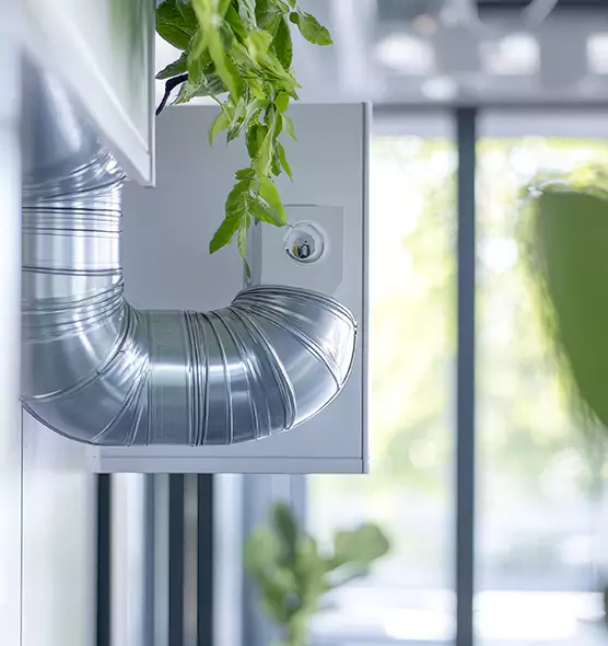 Professional Eco-Friendly Duct Cleaning Services in Surprise, AZ