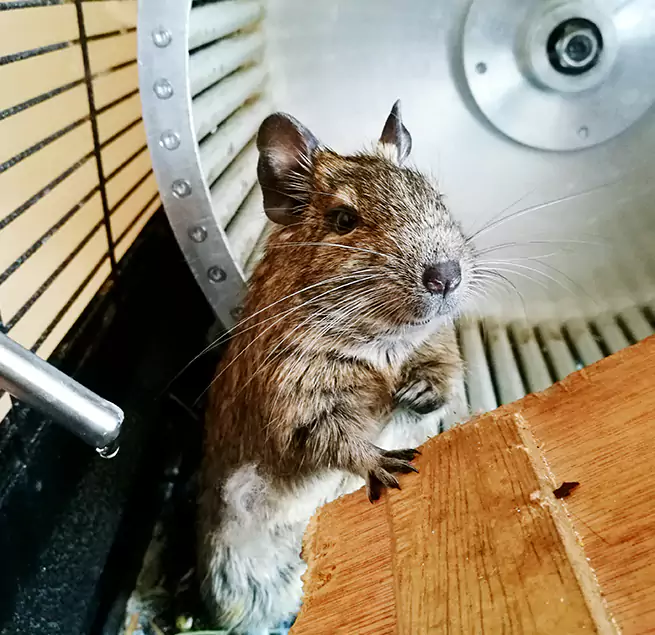 Why Homeowners & Businesses Trust Us Surprise, AZ