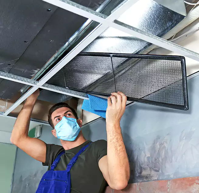 Why Homeowners Businesses Trust Us in Surprise, AZ