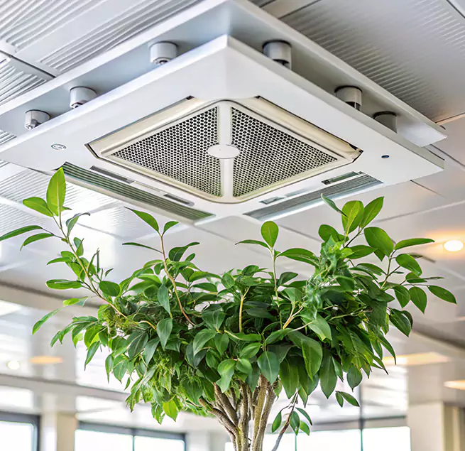 Why Homeowners & Businesses Trust Us in Surprise, AZ